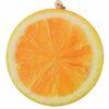 squishy fruit slice orange