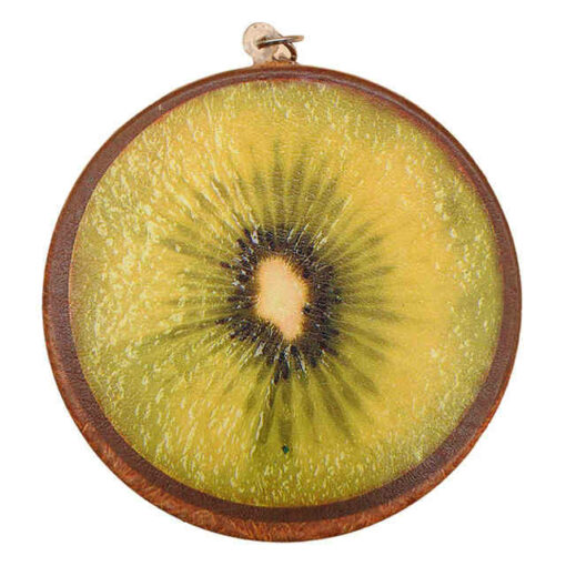 squishy fruit slice kiwi