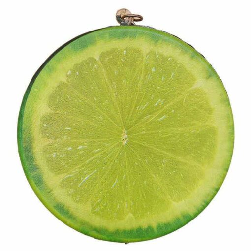 squishy fruit slice lime