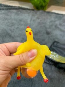 Chicken Squishy photo review