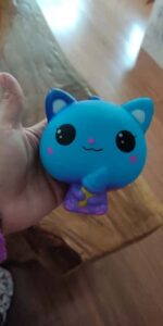 Galaxy Cat Squishy photo review